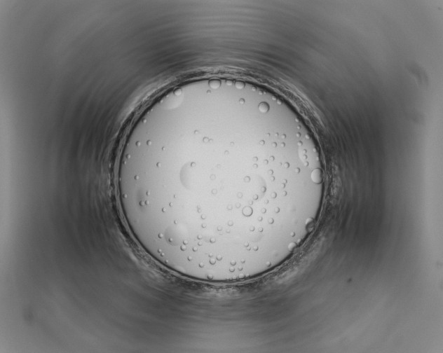 X0000112730978200908201009