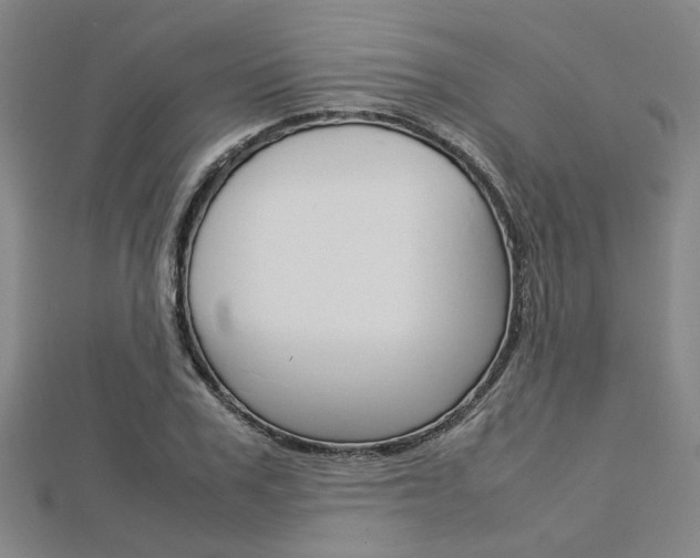 X0000112730979200908201009