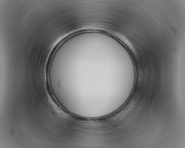 X0000112730980200908201009