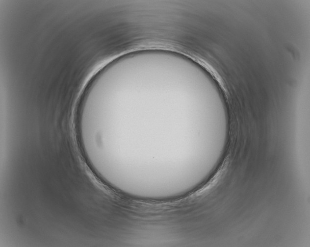 X0000112730981200908201009