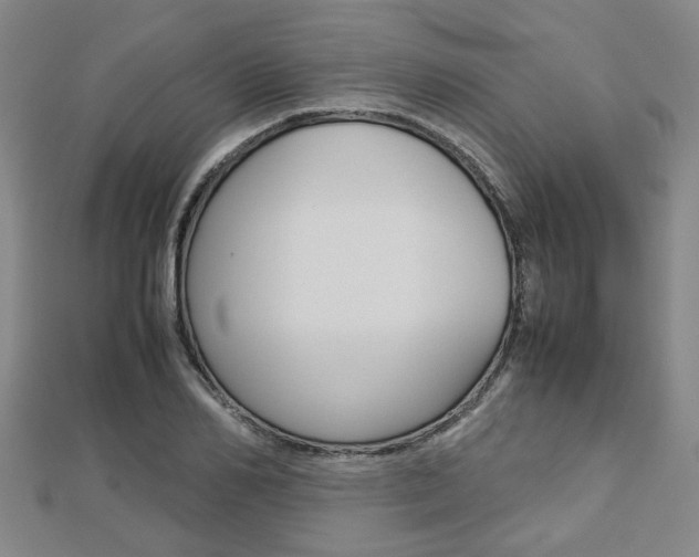 X0000112730982200908201009
