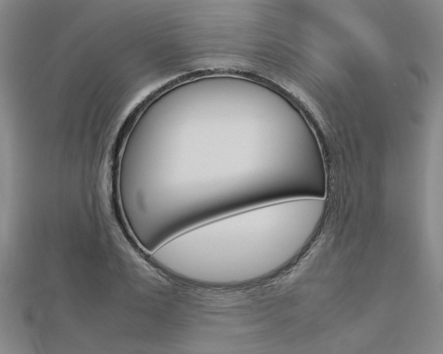 X0000112730983200908201009