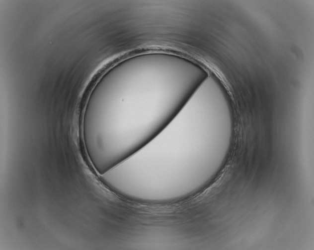 X0000112730984200908201009
