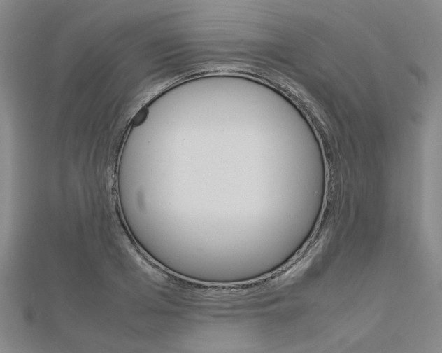 X0000112730985200908201009