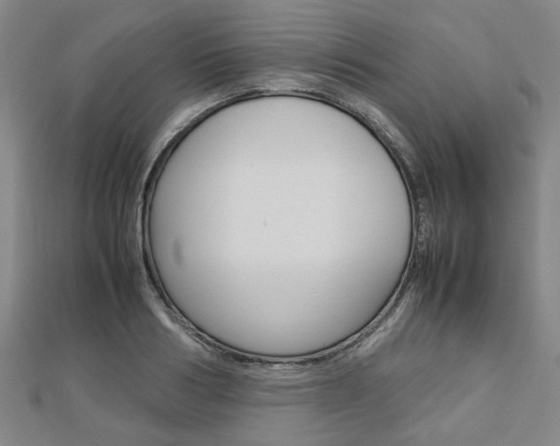 X0000112730986200908201009