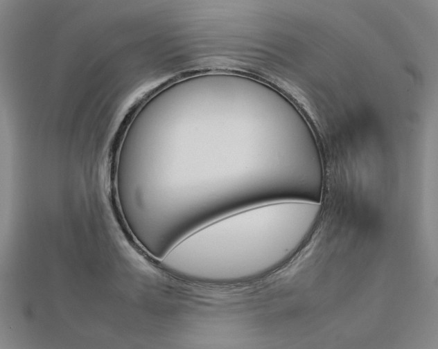 X0000112730987200908201009