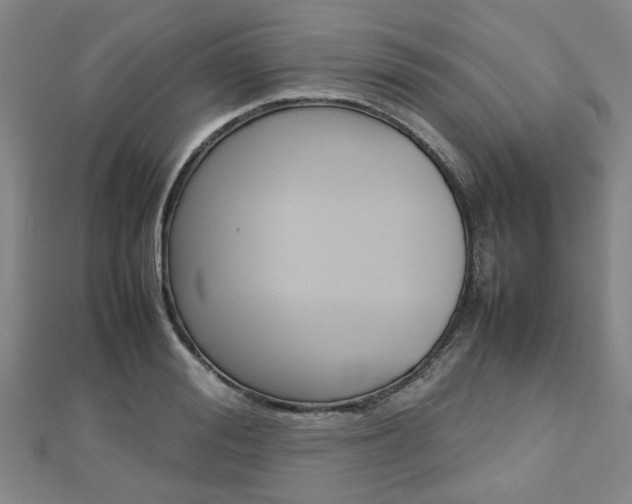 X0000112730988200908201009
