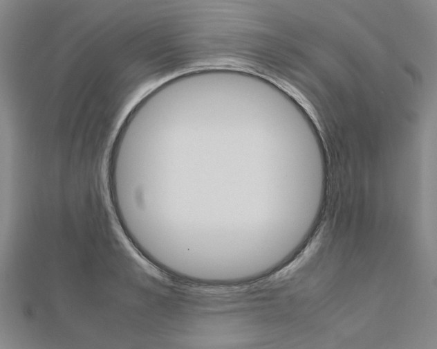 X0000112730989200908201009