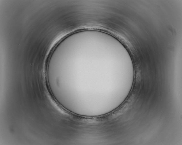 X0000112730990200908201009