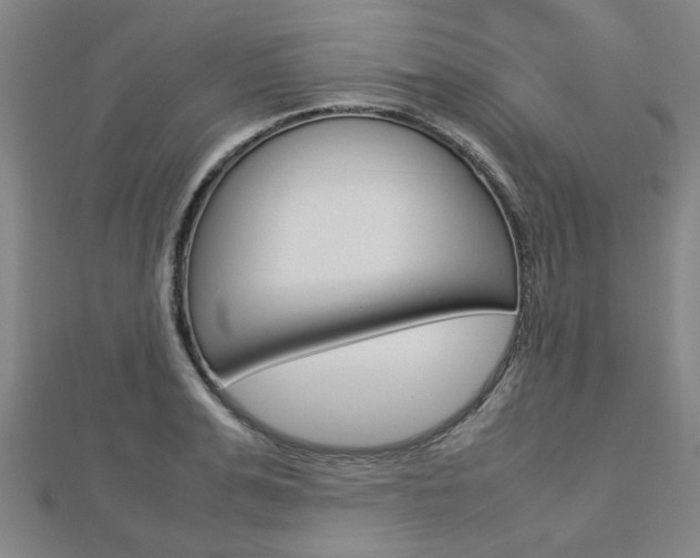 X0000112730991200908201009