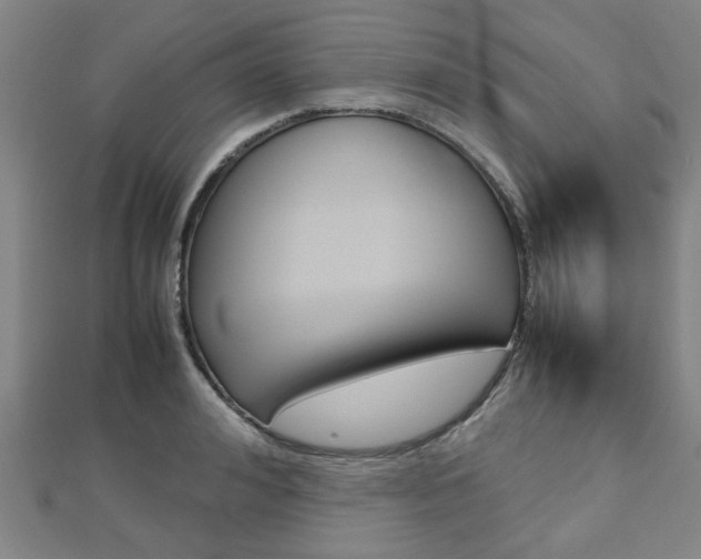X0000112730992200908201009