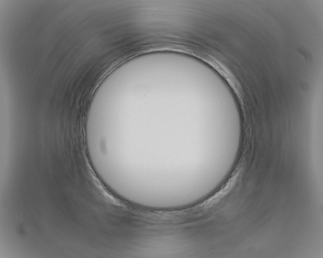 X0000112730993200908201009