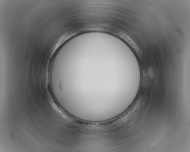 X0000112730994200908201009