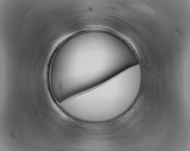 X0000112730995200908201009