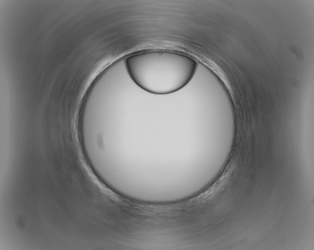 X0000112730997200908201009
