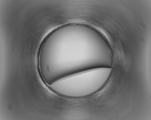 X0000112730999200908201009