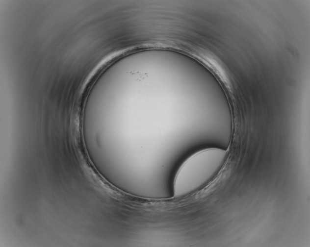 X0000112731000200908201009