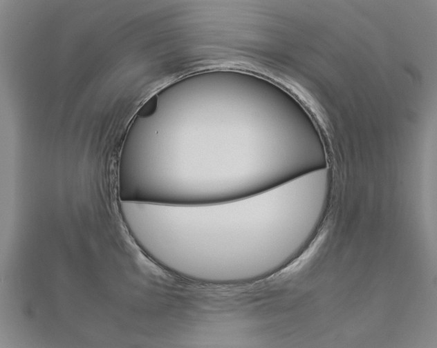 X0000112731001200908201009