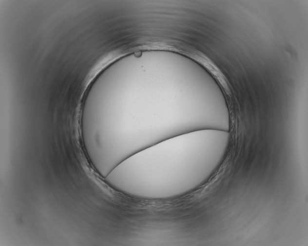 X0000112731002200908201009