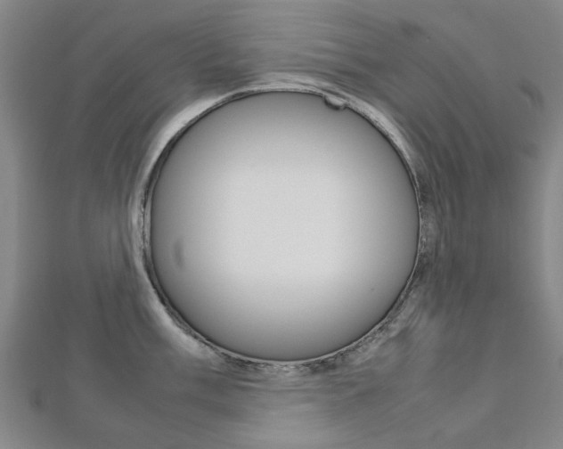 X0000112731003200908201009