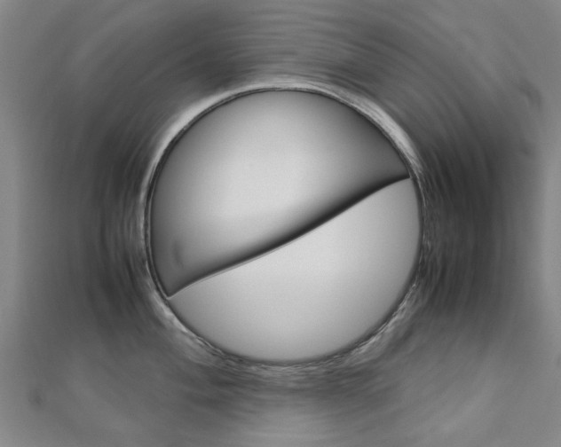 X0000112731004200908201009