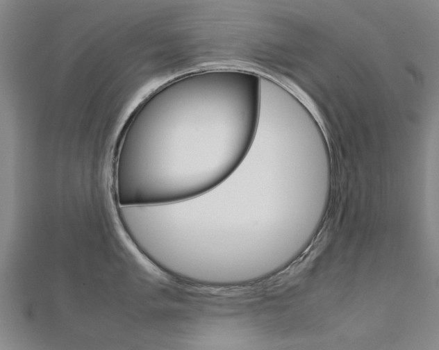 X0000112731005200908201009