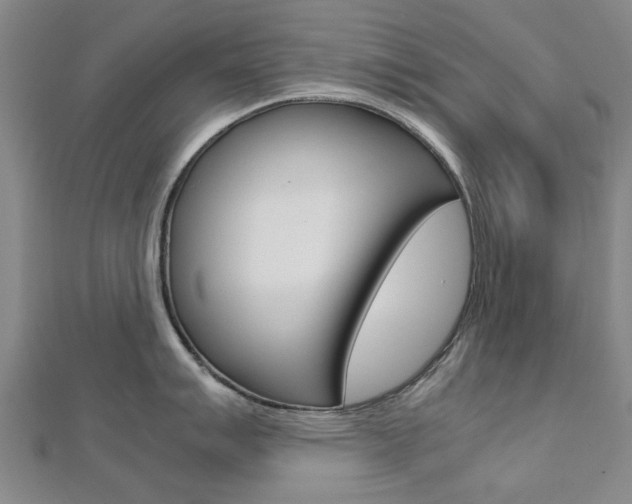 X0000112731007200908201009