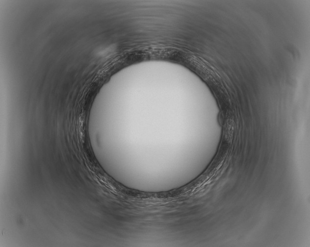 X0000112731010200908201008
