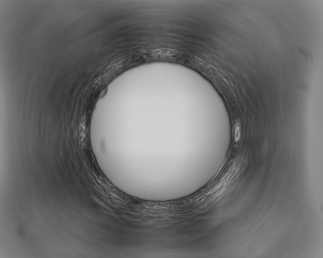 X0000112731011200908201008