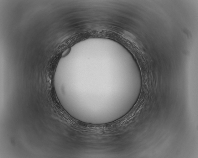 X0000112731013200908201008