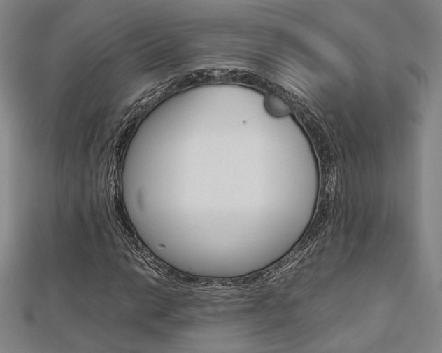 X0000112731014200908201008