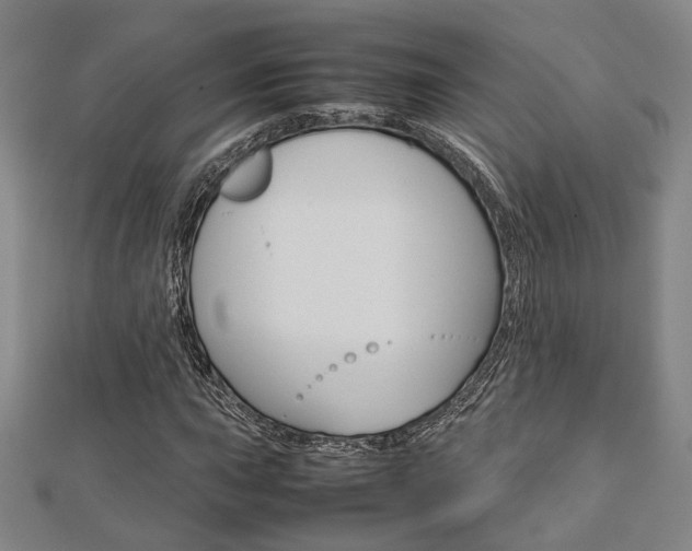 X0000112731015200908201008