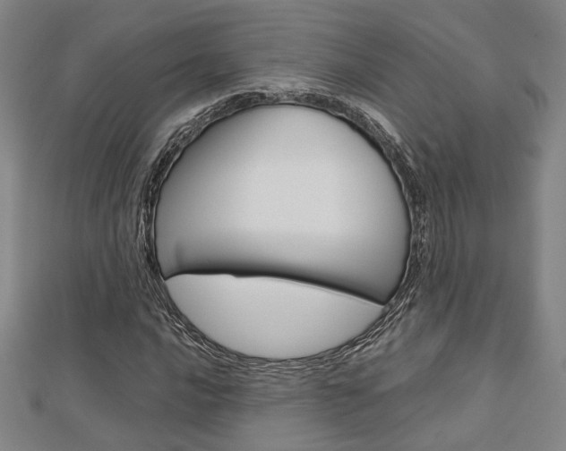X0000112731016200908201008