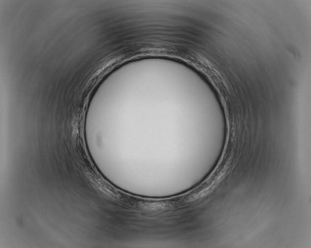 X0000112731017200908201008