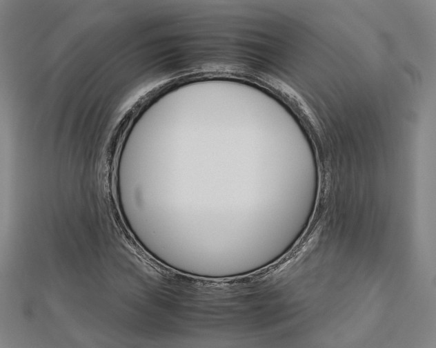 X0000112731019200908201008