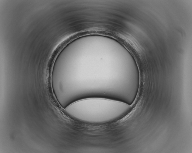 X0000112731021200908201008