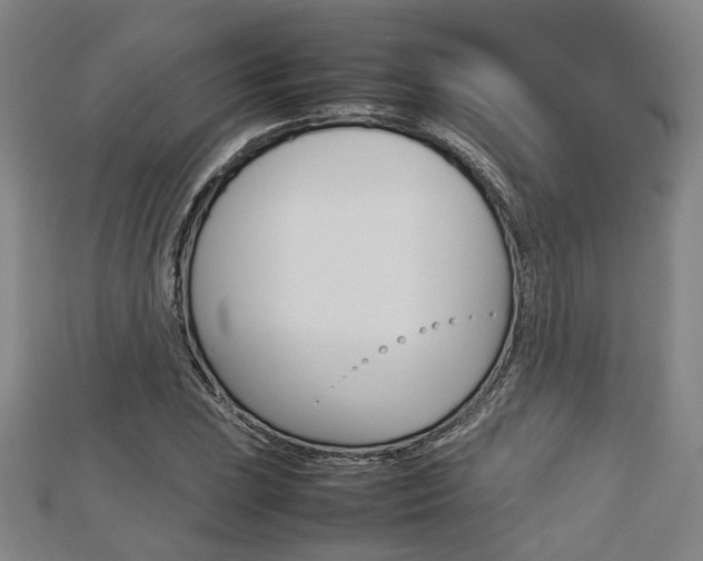 X0000112731023200908201008