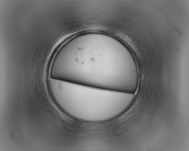 X0000112731024200908201009