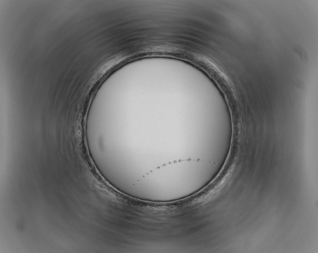 X0000112731025200908201009
