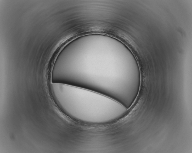 X0000112731026200908201009