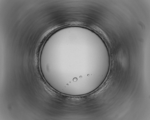 X0000112731027200908201009