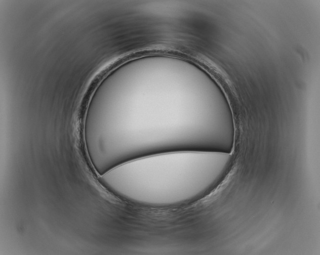 X0000112731029200908201009