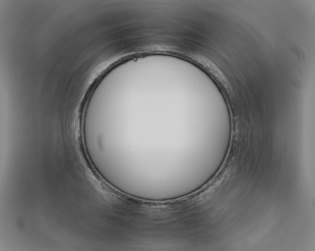 X0000112731031200908201009