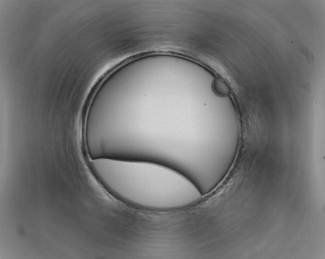 X0000112731032200908201009