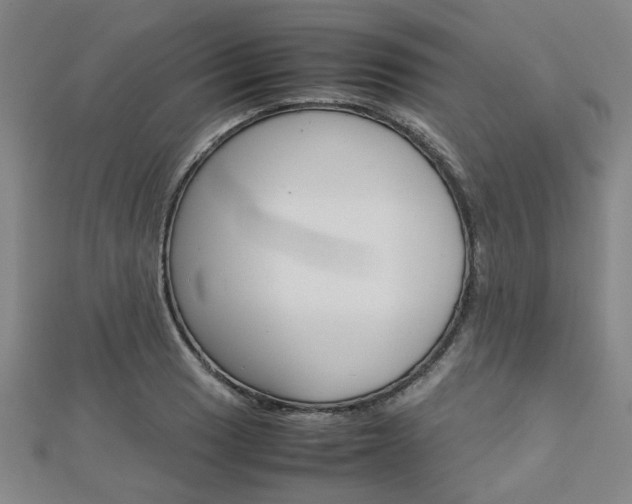 X0000112731033200908201009