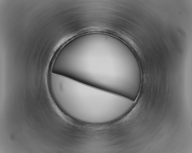 X0000112731034200908201009