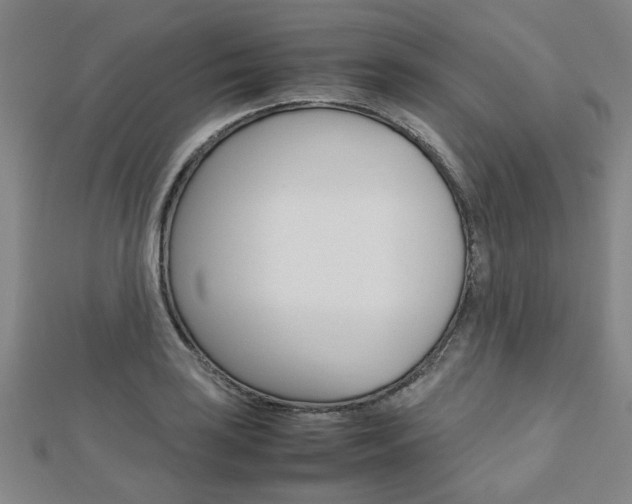 X0000112731035200908201009