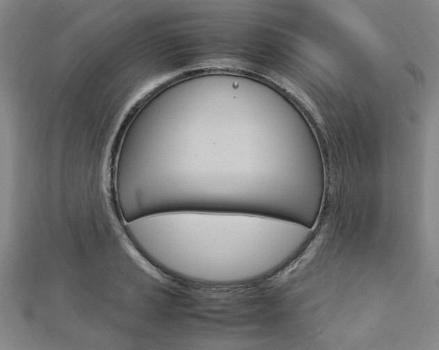 X0000112731037200908201009