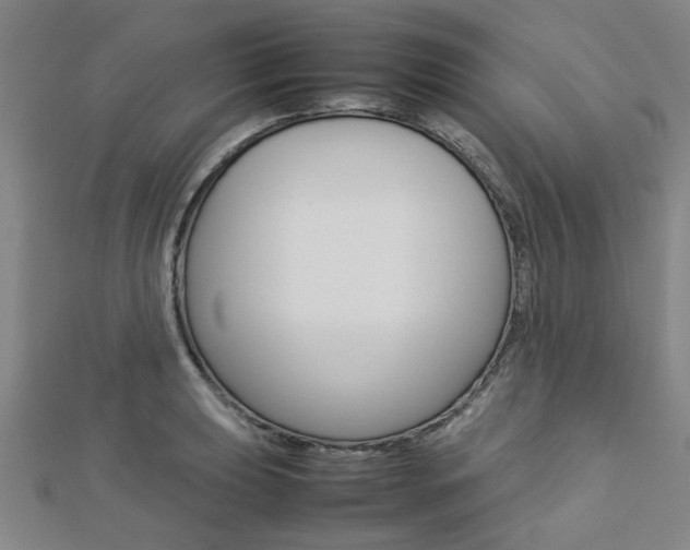X0000112731039200908201009