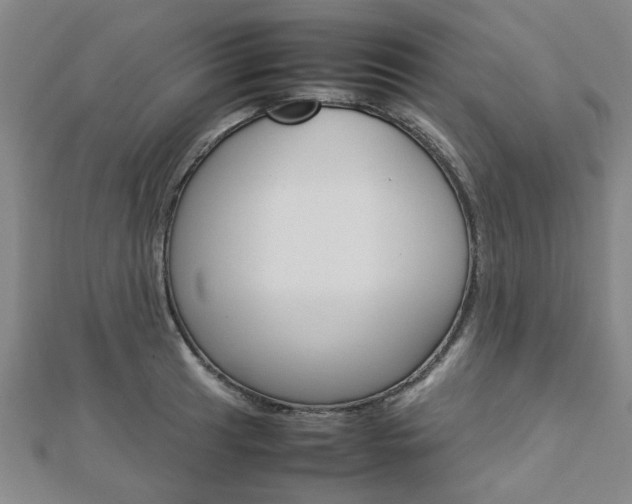 X0000112731041200908201009